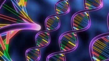 Científicos aseguran que el ADN