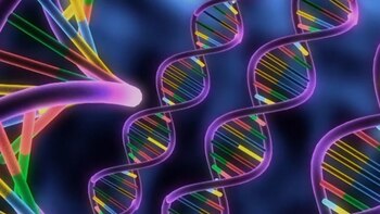 Científicos aseguran que se va