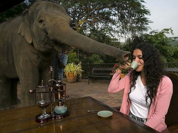 Blake Dinkin aseguró que su