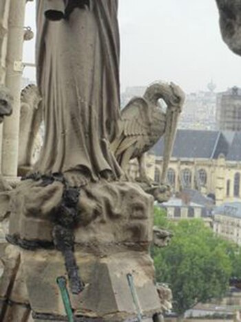 Detalle de la base de