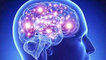 Los procesos de desmielinización y