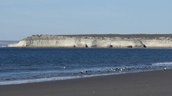 Imagen U6VNJ3XB45AZLHPSQIT2L4NBJQ