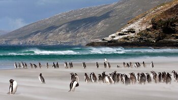 Imagen ZGRAZVSVJFA4PPWTEAOATIPXZQ