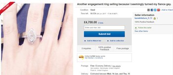 El aviso en eBay. Momentáneamente