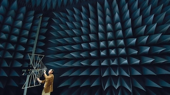 La cámara anecoica por dentro