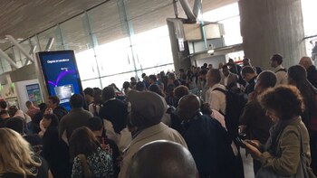 Los agentes procedieron a inspeccionar