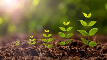 El ministro de Ambiente y