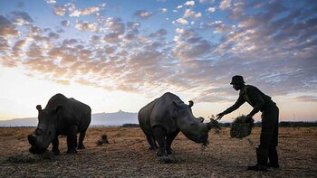 Imagen KGZ4QAQZDVBPJECZZW6HKBIVJQ