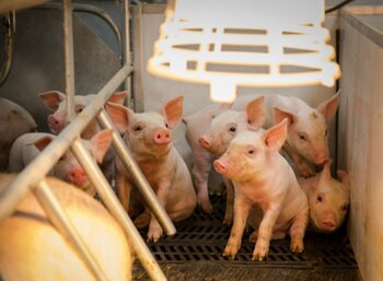 (Tyler Mertins/National Press Foundation)