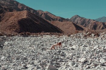 (Foto: Lauren Naylor)