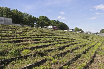 Otras tribunas abandonadas del Campo