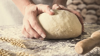 Investigadores analizaron el impacto en