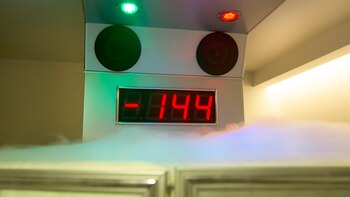 Países como Australia, India, China,