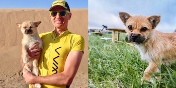 Dion Leonard conoció a Gobi mientras participaba de una ultramaratón en China. Hoy viven juntos en Edinburgo tras haber protagonizado una historia que será llevada a la pantalla grande