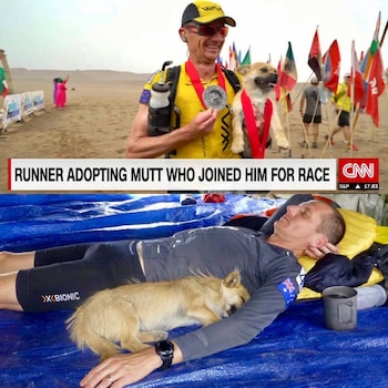 La historia de Leonard y Gobi obtuvo cobertura mundial el pasado agosto. Debajo, una merecida siesta reparadora luego de haber conseguido la victoria junto a su fiel “humano”