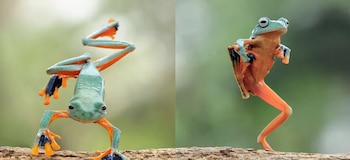 Imagen ZWX27KXFZ5DGPCEC5RDXZQ2SUY