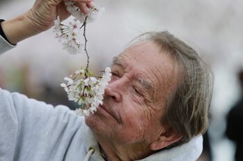 El sentido del olfato disminuye