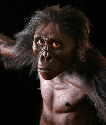 Reconstrucción del primate que los