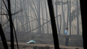 Un policía junto a una