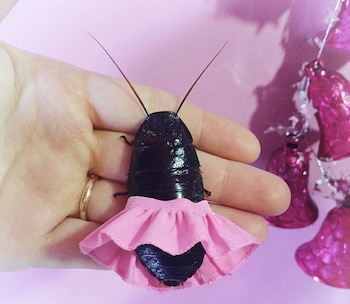 El objetivo de Agustina es