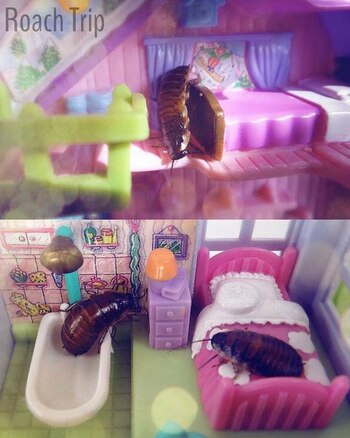 Tienen una cantidad infinita de