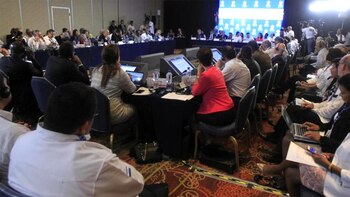 La OEA no alcanzó un