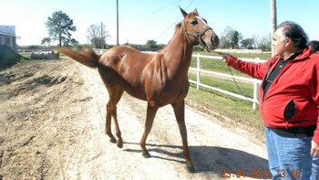 Ex vendedor de zapatos, maneja