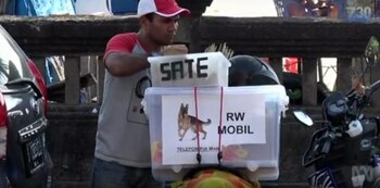 (Crédito: Animals Australia)