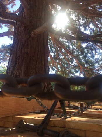 (AP Photo/Rebecca Boone)