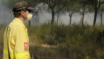 Más de 260 personas están