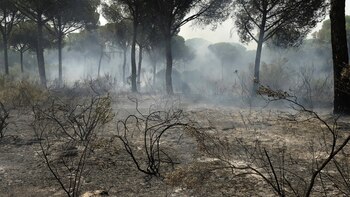 La zona está siendo golpeada