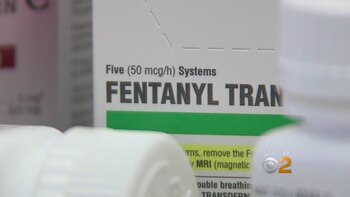 Una campaña alerta de los