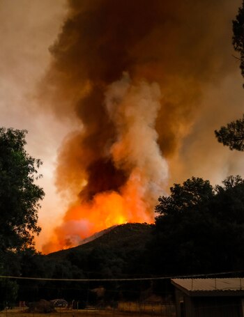 (AP) El incendio fue en