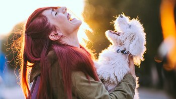 Los dueños de perros tienen