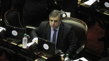 El diputado Mario Negri (DyN)