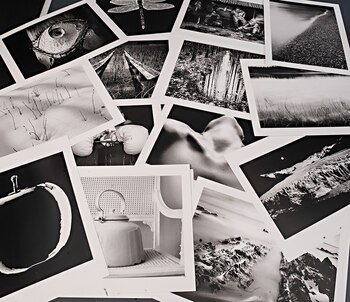 Las láminas con las diferentes