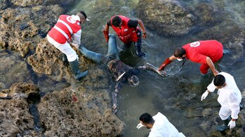 Naufragio en las costas de