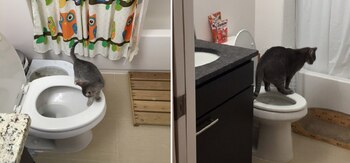 Hanuri antes y después: de pequeña,