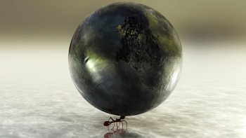 Las hormigas y un formidable