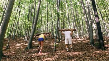 Thiem realizó arduos exámenes como