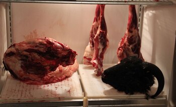 Después de cenar, Derek me