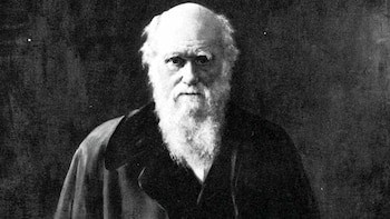 Darwin zarpó en diciembre de