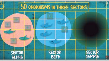 Esta imagen muestra el escaneo