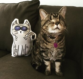 Especialistas les recomendaron la enucleación,