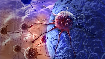 Se especificó que 75% del