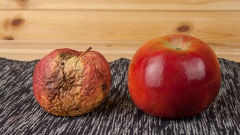 Las frutas y las verduras irradiadas aumentarán su durabilidad (iStock)