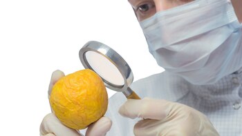 La reforma incorpora al CAA nuevas categorías de alimentos irradiados, como frutas y vegetales frescos (iStock)