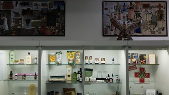 El Museo del Cannabis de