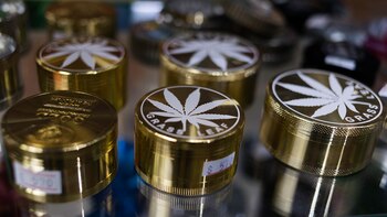 Picadores de cannabis, en venta