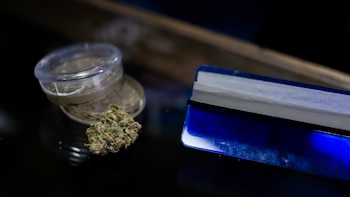 Una flor de cannabis, junto